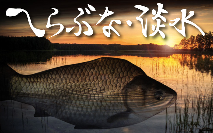 へらぶな・淡水 おり釣具 本店
